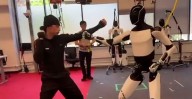 Así pelea el robot de Musk; muestra su kung
