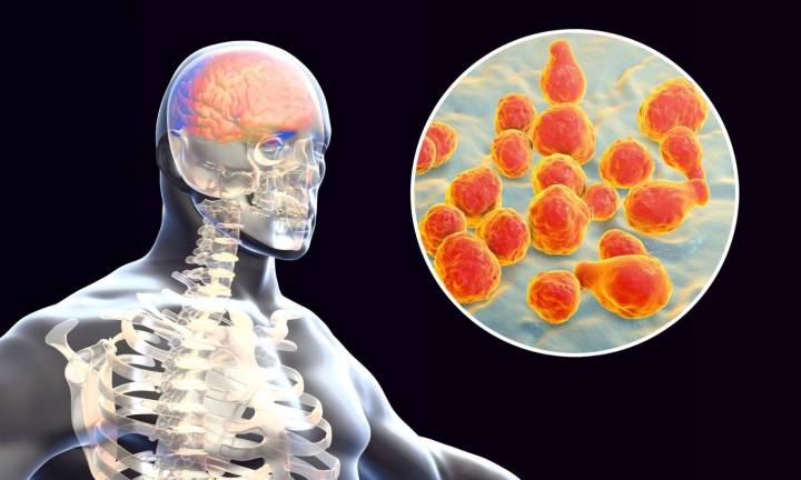Kerala reports 104 Amoebic meningoencephalitis cases, 23 deaths: Health Minister