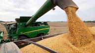 Advierten que el ingreso de dólares del agro podría caer hasta un 80%