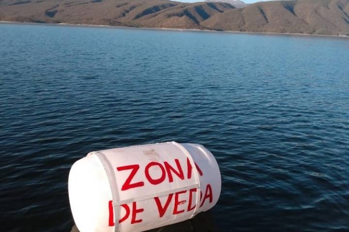 ¡Evitá sanciones! Empezó la veda de pesca en el Río Bermejo