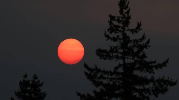 Climate dollars eyed to backfill WA wildfire funding