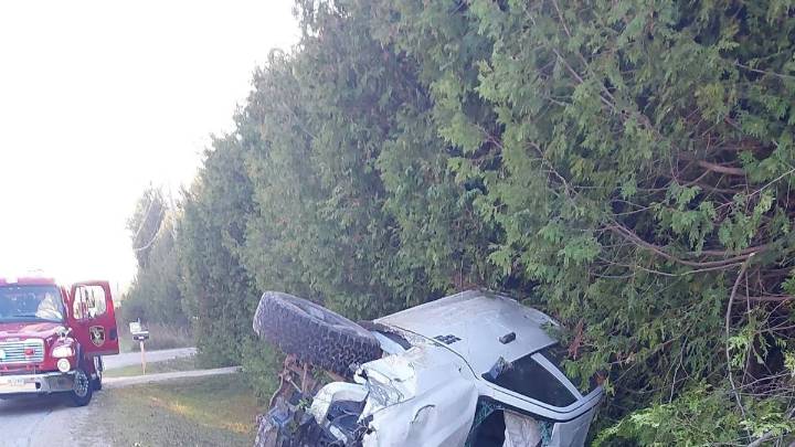 Driver Reportedly Swerved To Avoid Dog In Grey Highlands Crash: OPP