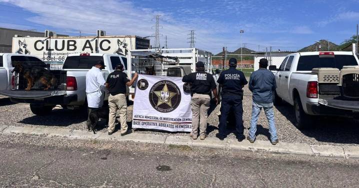 Rescata AMIC 30 caninos de centro de adiestramiento en Hermosillo por posible maltrato animal