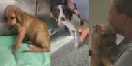 Craven County officials, residents respond to rise in animal cruelty cases