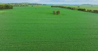 Rothesay NSW: 2000 acres of premier farmland with luxury living