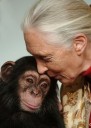 Jane Goodall, the celebrated primatologist and conservationist, has died