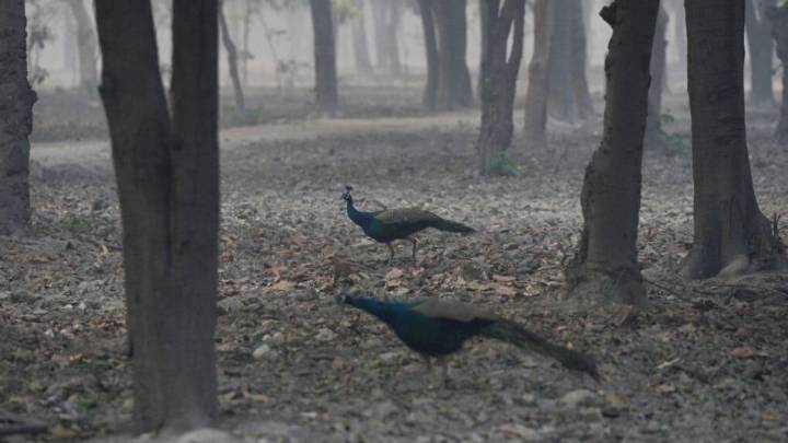 Planning A Weekend Getaway? These 5 Scenic Spots Near Delhi Offer Complete Fun And Relaxation