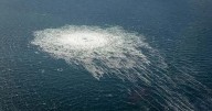Italian Court Blocks Extradition of Nord Stream Sabotage Suspect