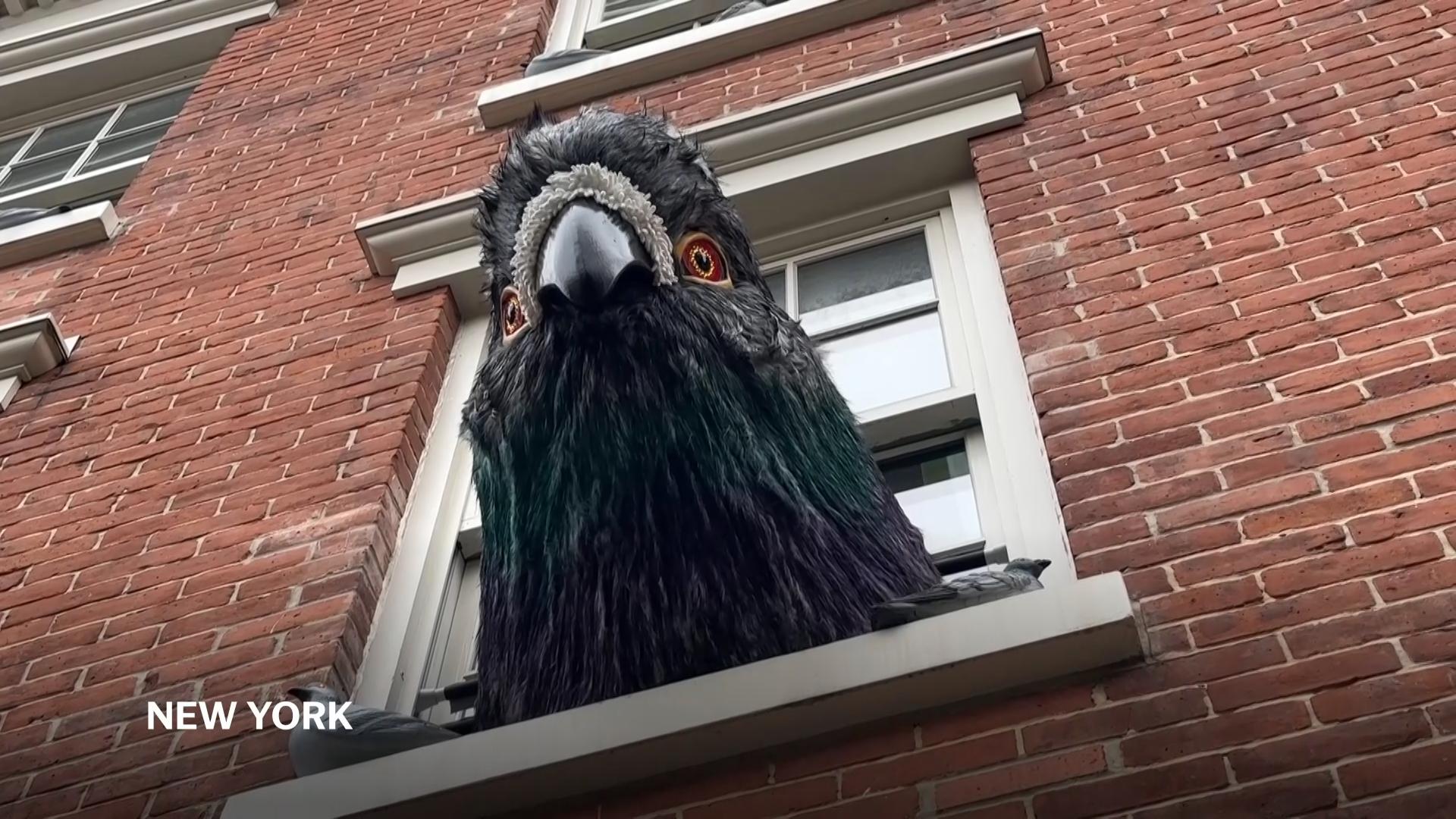 Giant pigeon and eerie flock take over Manhattan home for Halloween
