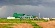 Government Halts Operations at Salima Sugar Company