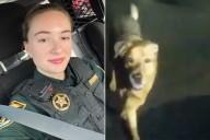 Hero Dog Leads Deputy to Injured Woman Who Fell During Walk