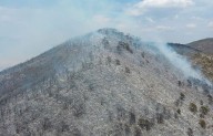 Aprueban nueva ley forestal para Coahuila; fortalece prevención, detección y combate de incendios