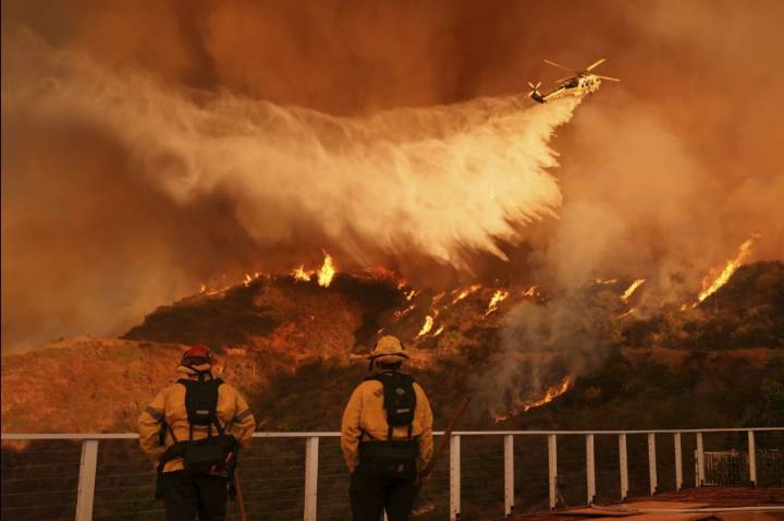 15 Million in India Hit by 2024-25 Wildfires, UP Worst Affected