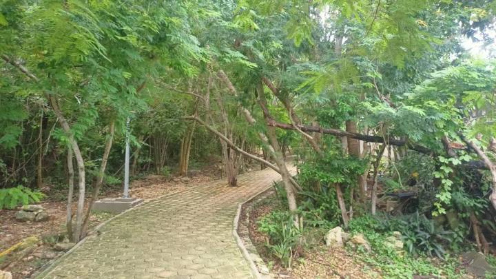 Vecinos de Villas Tulum denuncian a sujeto por presunto abuso de perros y piden mayor vigilancia