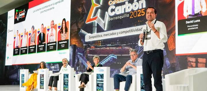 Gobierno y grupos ilegales, principales enemigos del carbón, según David Luna