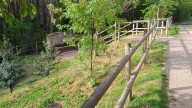 Un pequeño pueblo de Aragón tendrá excursiones micológicas al monte para aprovechar la temporada