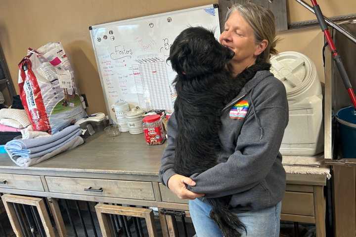 ‘Worst it’s ever been’: Md. rescue says shutdown contributing to rise in pet surrenders