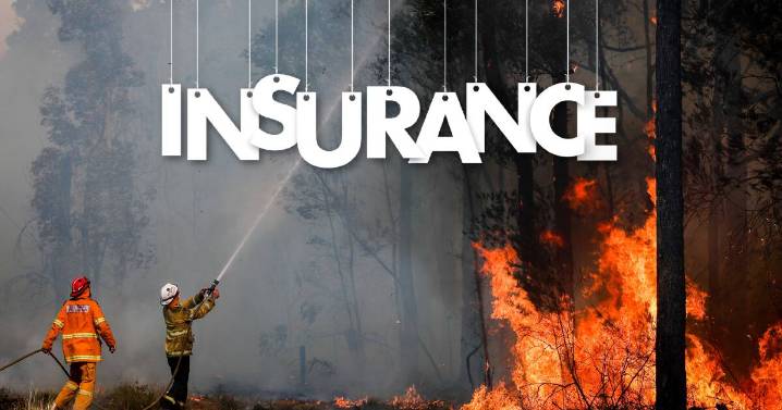 Extreme fire danger risk triggers insurance policy embargoes