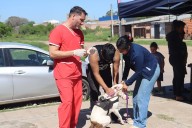 RESISTENCIA: El Municipio Acercó Servicios Sanitarios Al Barrio Toba Con El Apoyo Del Estado Provincial