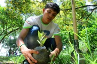 Reforestación de 20 mil árboles renueva la vida del Waraira Repano