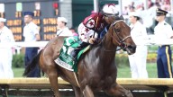 Horse of the Year Thorpedo Anna to be honored Sunday at Churchill Downs