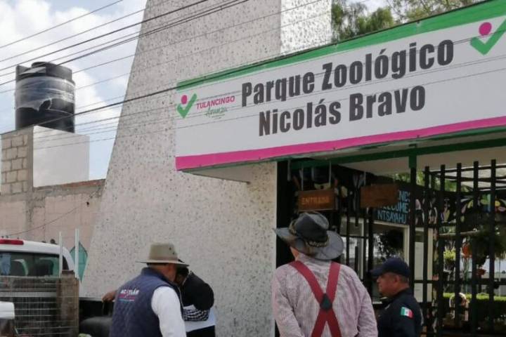 Zoológico de Tulancingo: ¿Cuántos animales alberga el parque recreativo?