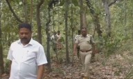 Leopard sighting in Odisha village creates panic, forest officials on high alert