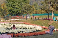 Chrysanthemum Garden at NMBG a proud initiative of Floriculture Department