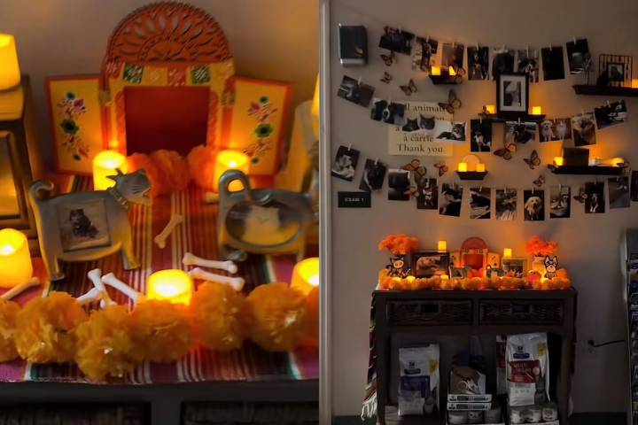 Ella solo quería recordar a su perrito; ofrenda para mascotas en EU se vuelve viral