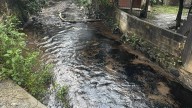 Colapso de Dique Provoca Escurrimiento de Petróleo en Sierra Norte de Puebla
