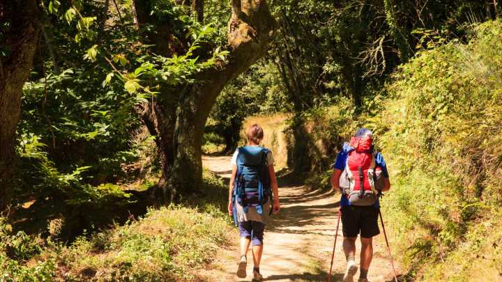 El Camino Inglés a Santiago consolida su auge con un crecimiento del 8% y roza los 29.000 peregrinos en lo que llevamos de 2025