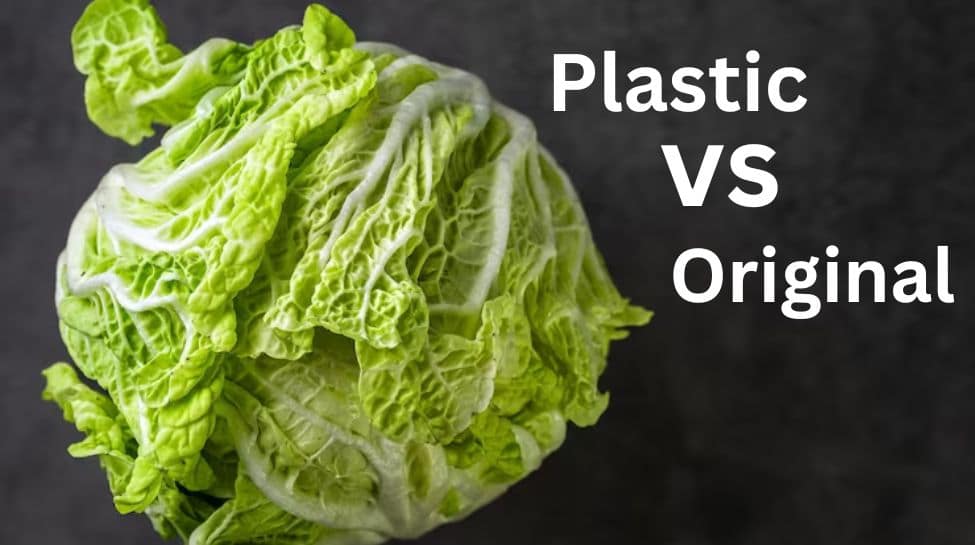 Cabbage Season Is Here! Plastic Cabbage vs Original Cabbage- Check How To Differentiate At Home