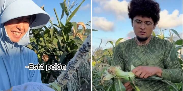 Japonesa y su esposo mexicano conquistan TikTok al cultivar vegetales mexicanos para hacer platillos tradicionales