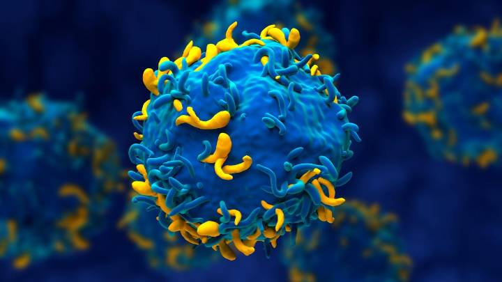 Niños con leucemia avanzada se salvan gracias a una terapia CAR