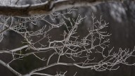 NY records coldest temp in U.S. Is this a sign of snow to come?