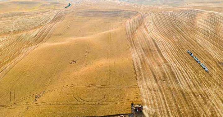 Recently announced wheat deal between Idaho and Taiwan maintains status quo
