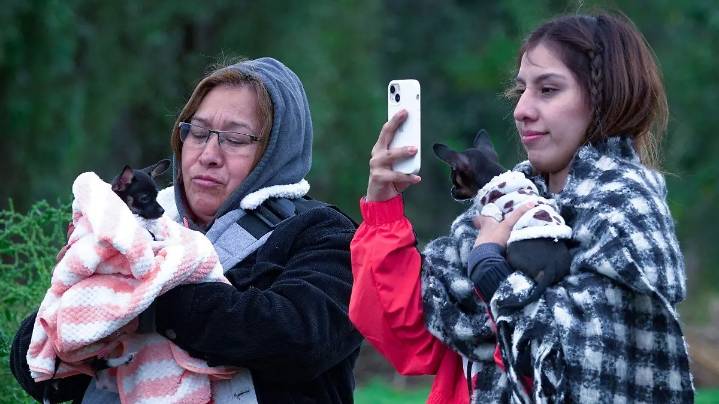 Frente frío 10: cuándo entra en México y cuáles son los estados en los que bajará la temperatura