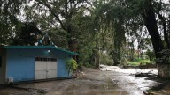 Temen que crecida del río Blanco aumente y traiga más afectaciones en la colonia Santa Rosa