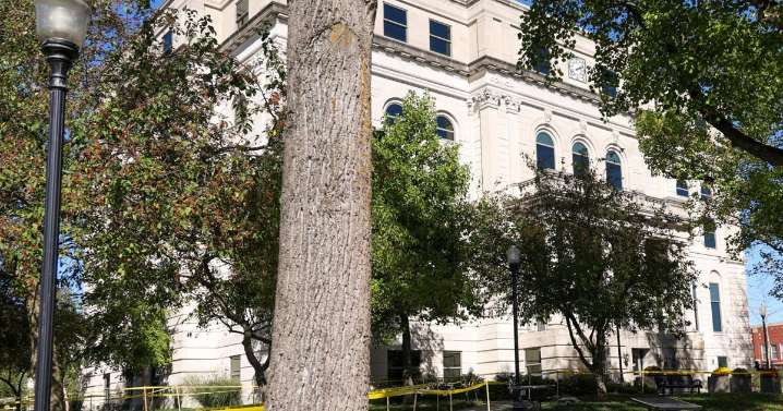 Trial delayed in alleged theft at Portage softball league