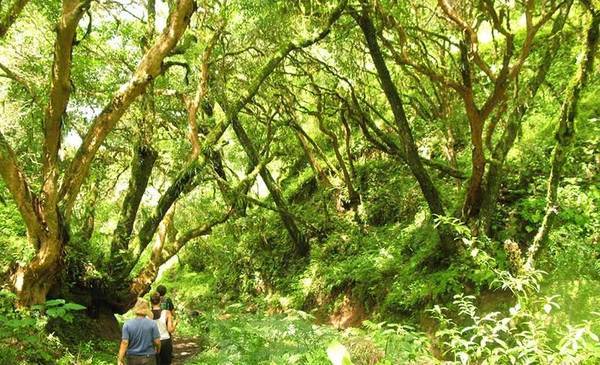 El refugio sin celular ni wifi en el corazón de las yungas jujeñas