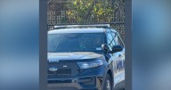 Internal review underway after Birmingham officer asleep at wheel caught on camera