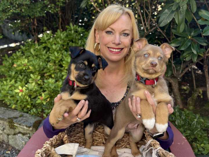 Pet CHEK: Toddler puppies Ghost and Soul are looking for love