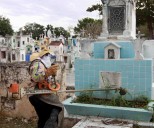 Fumigan panteones en Mérida