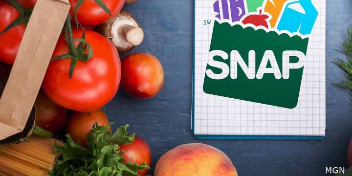 Rosen calls on Trump to not cancel SNAP funding for Nevada