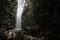 Medellín protege más de 3.000 hectáreas de reservas naturales.