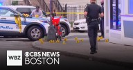 Woman shot near restaurant in Roxbury