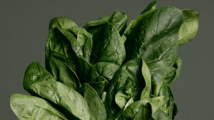 For More Magnesium, Experts Recommend This Leafy Green