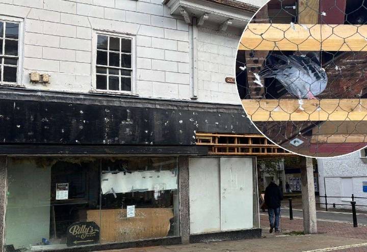 Call for action over eyesore town centre building which is overrun with pigeons