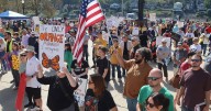 'Nothing more American': 500+ turn out in Charleston for 'No Kings' rally at Capitol