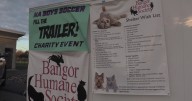 Hampden Academy boys soccer program is fund raising for the Bangor Humane Society